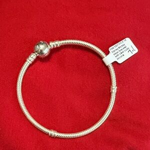 Pandora Silver Charm Bracelet